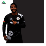 Full Sub Black Panda Short Sleeve | BE FANCY