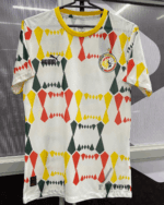 Senegal Away Kit 23/24 International Edition